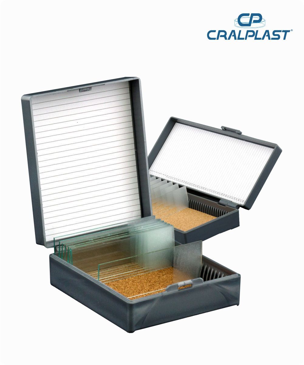 Caixa plástica porta 50 lâminas